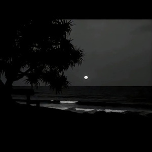 女子自慰高潮合集
